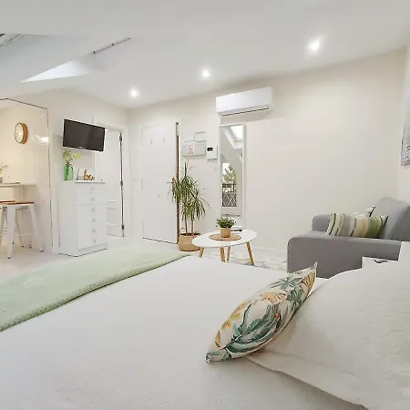 Coqueto Estudio En *